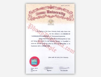 Anna University (2) - Fake Diploma Sample from India